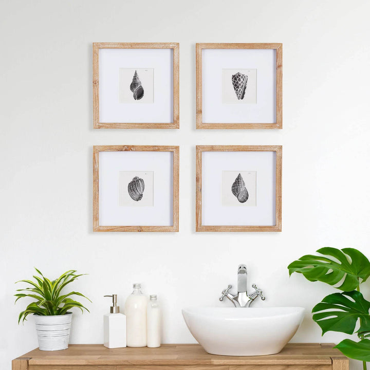 Capture the natural elegance of the seaside with Seashell Coastal Wall Prints, Set Of 4. These petite prints, framed in natural wood, beautifully showcase the detailed beauty of nature in black and white. A perfect addition to any coastal decor, these prints offer a stunning display of nature's intricacies.