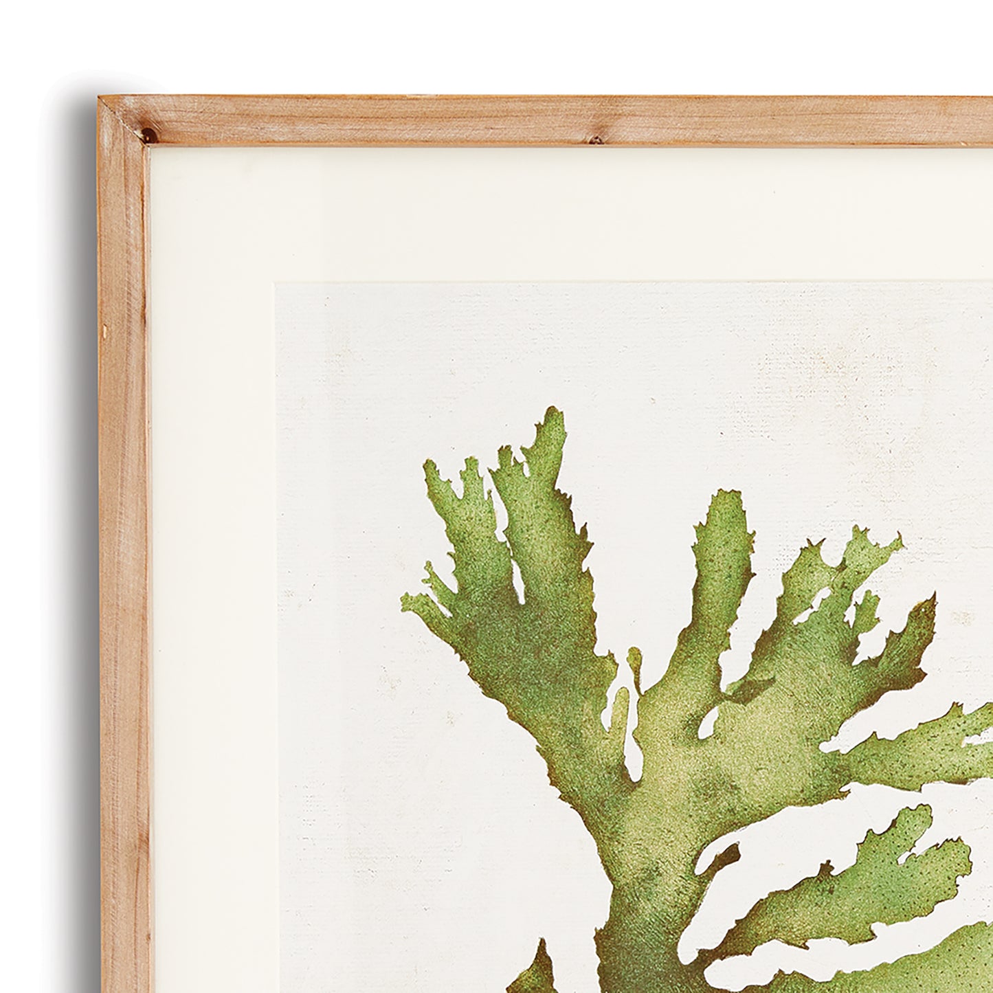 As refined in appearance as they are in size, these kelp wall prints embody the essence of sophisticated coastal living. With a delicate watercolor design and frames made of natural wood with a washed finish, these wall prints are perfect for any coastal themed home. 