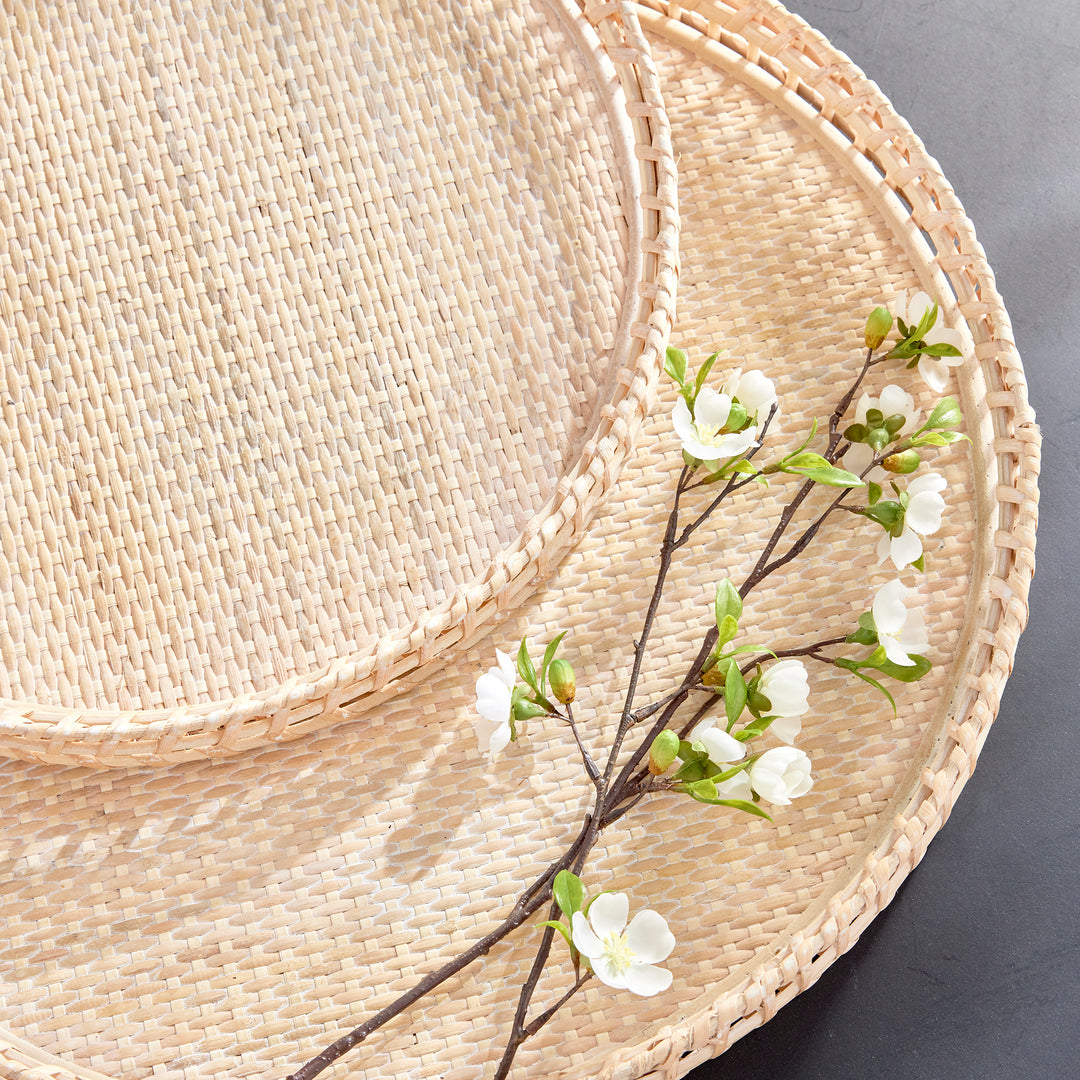 Crafted from woven rattan and coated with a fresh whitewash finish, these coastal-inspired trays add a touch of charm to any space. Use them on your coffee table or ottoman as a stylish base for creating beautiful vignettes. Enhance your home decor with Barri Coastal Decorative Trays Set of 2.