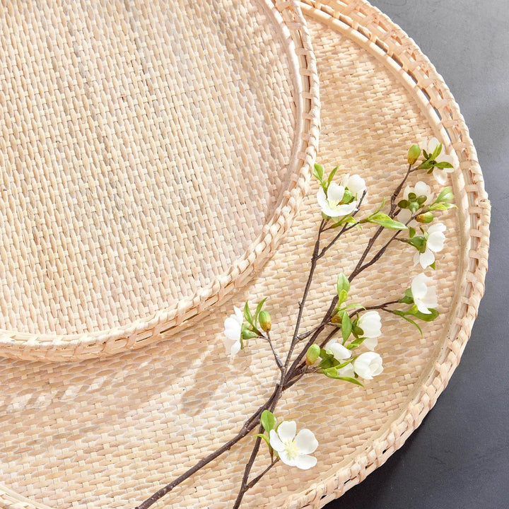 Crafted from woven rattan and coated with a fresh whitewash finish, these coastal-inspired trays add a touch of charm to any space. Use them on your coffee table or ottoman as a stylish base for creating beautiful vignettes. Enhance your home decor with Barri Coastal Decorative Trays Set of 2.