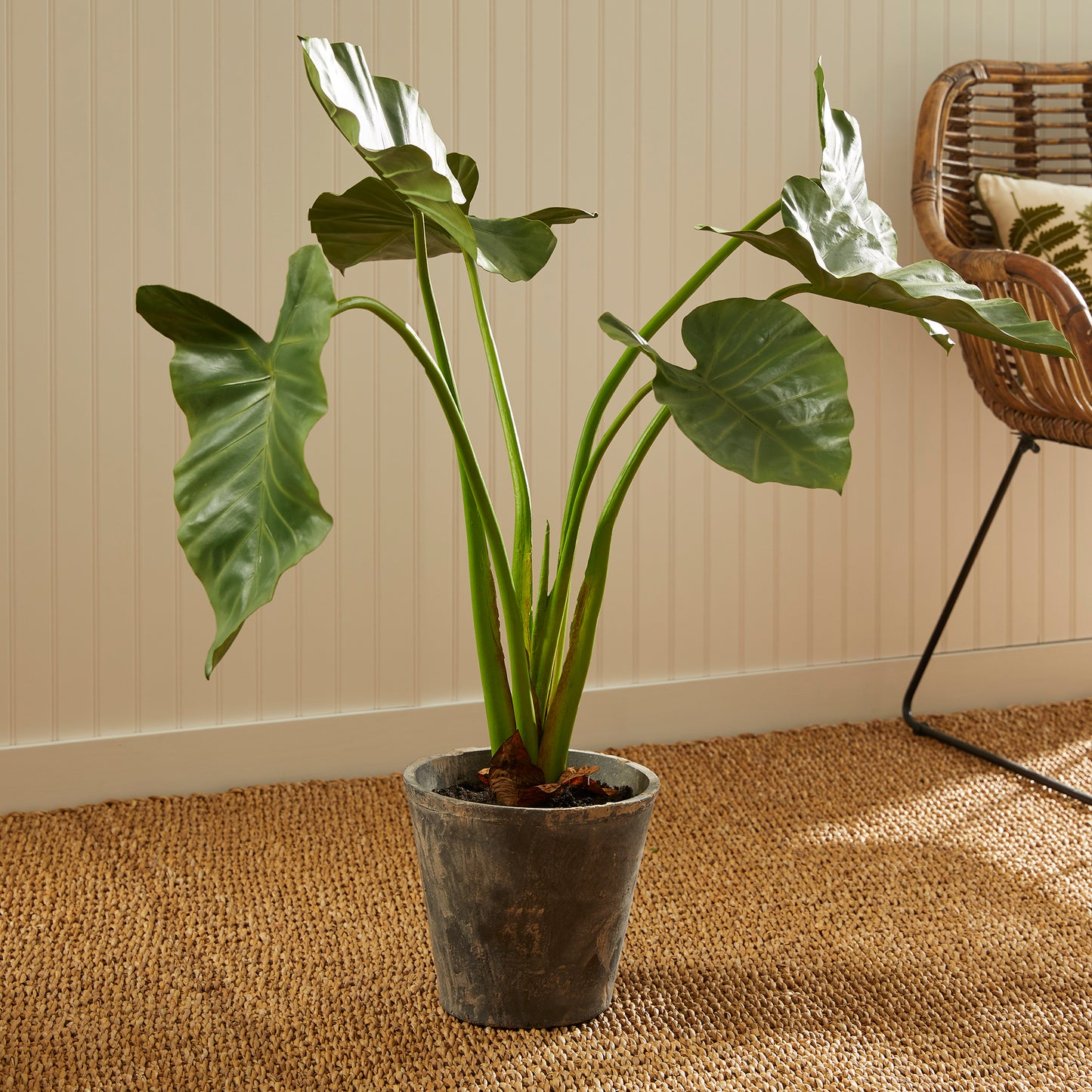 Alocasia Artificial Flora Potted 42"