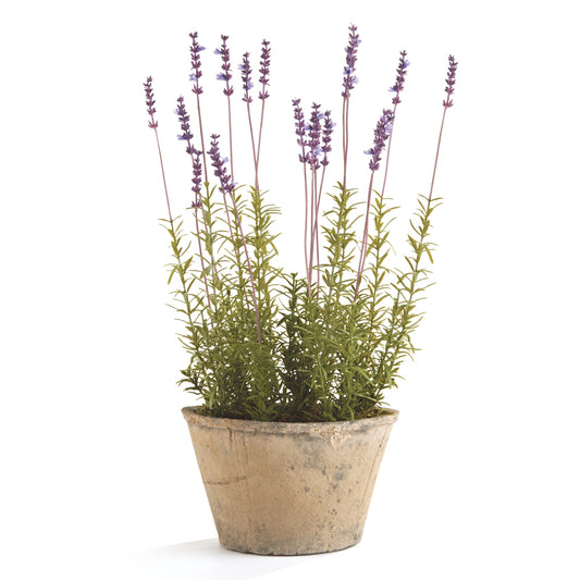 100% realistic- a perfect copy of your favorite herb. This piece is no-maintenance work of art. And comes already potted for simple decorating!