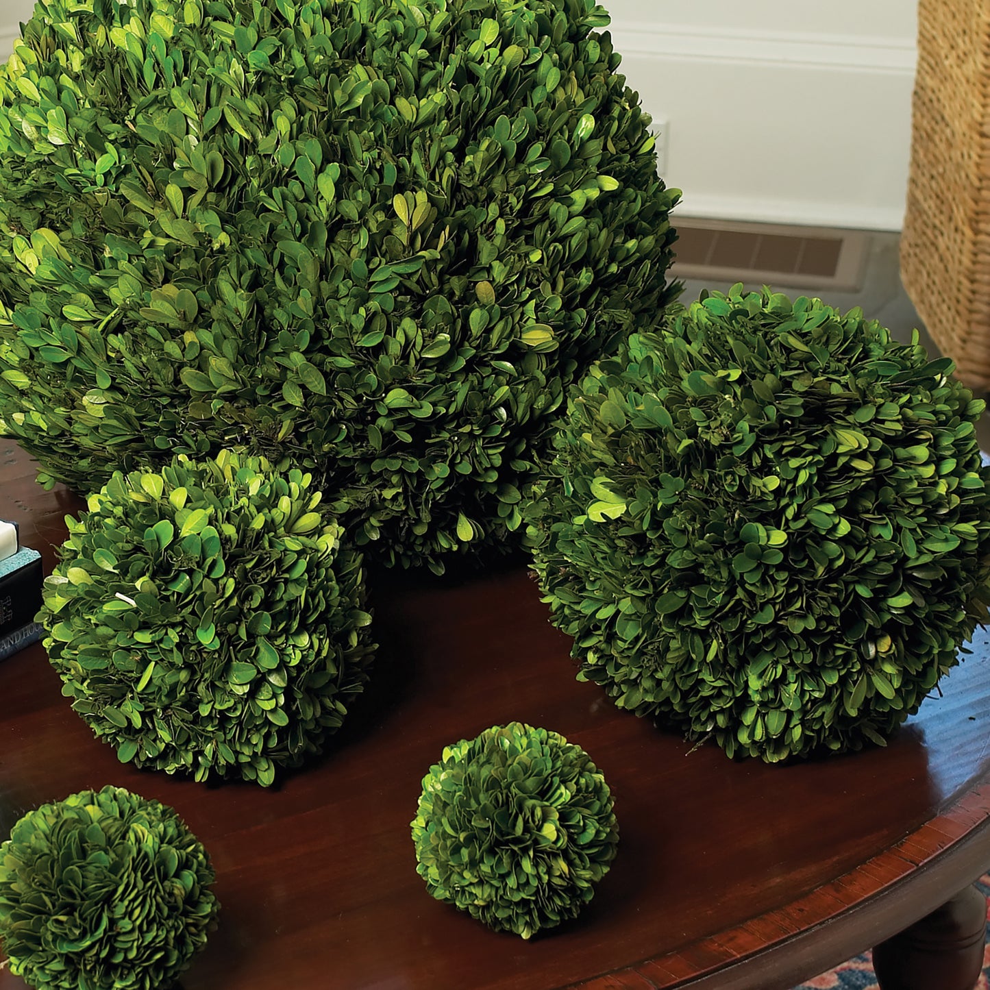 Boxwood Ball 12"