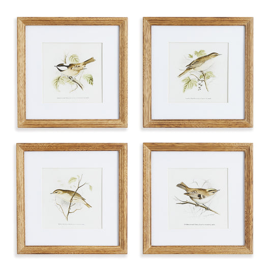 In a soothing sepia palette, this bird study set of four prints adds a warm neutral tone to your décor. Perfect little prints for petite spaces like a powder room, tucked into a bookshelf, or mudroom.