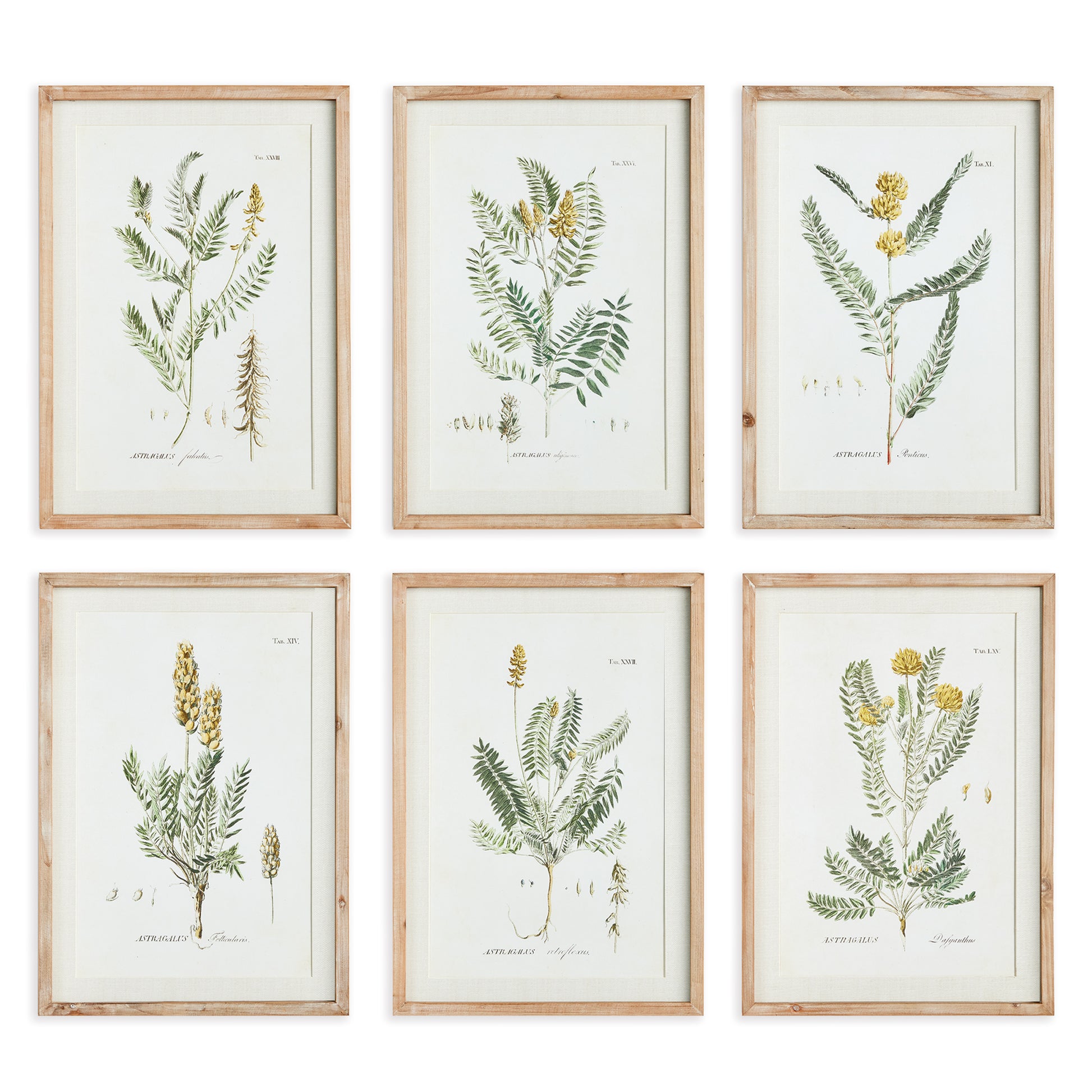 This set of coordinating yellow blooms is a traditional collection. Finished off with simple, whitewashed wood frames, and off white mat, a beautiful way to furnish home office, study or entry.