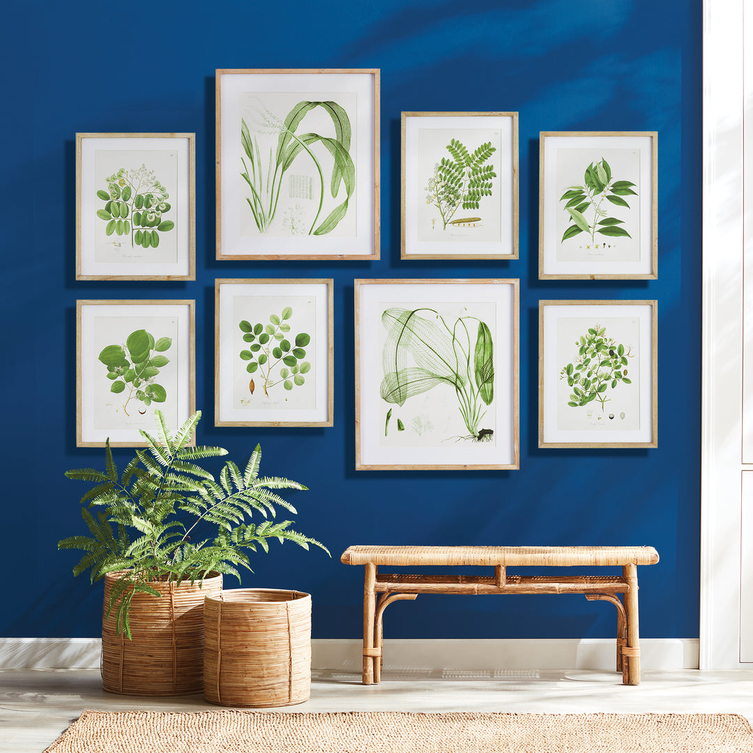 Aquatic Leaf Prints, Set Of 2