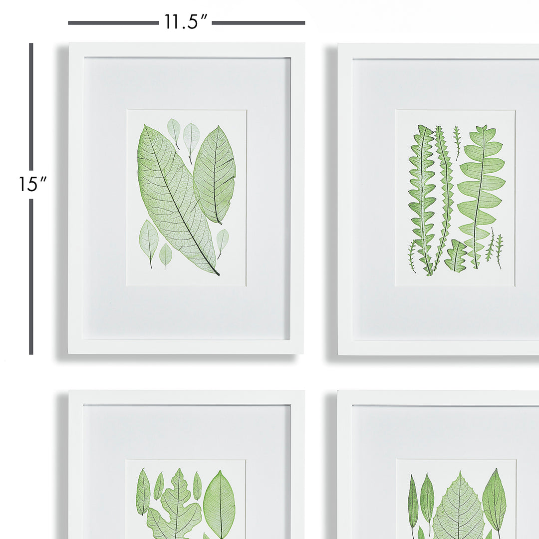 Assorted Green Leaf Prints, Set Of 4