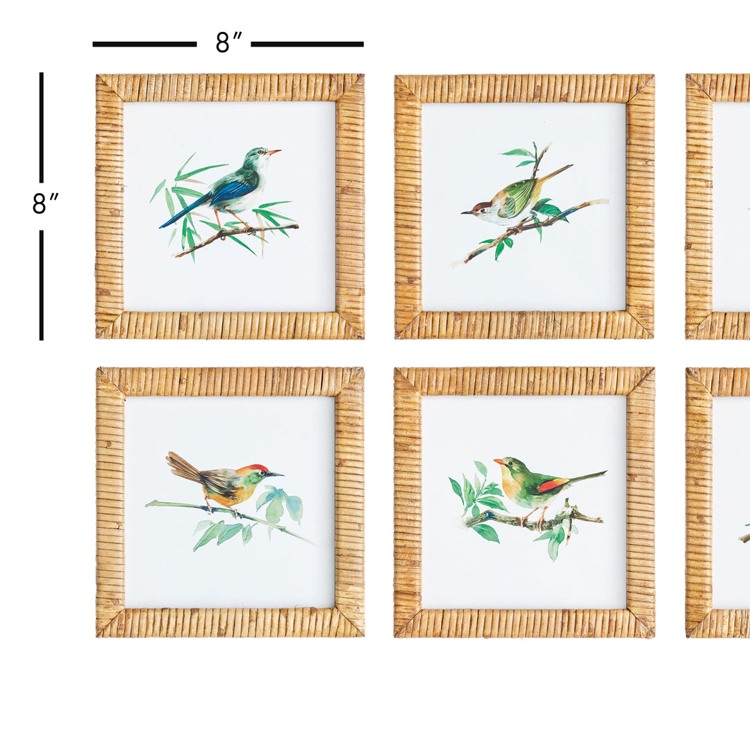 These sweet little songbirds will make your walls sing. Finished off with rattan frames, this petite set of six prints are ideal for small spaces. Separate and tuck them into a bookshelf, or hang them together in powder room or narrow hallway.