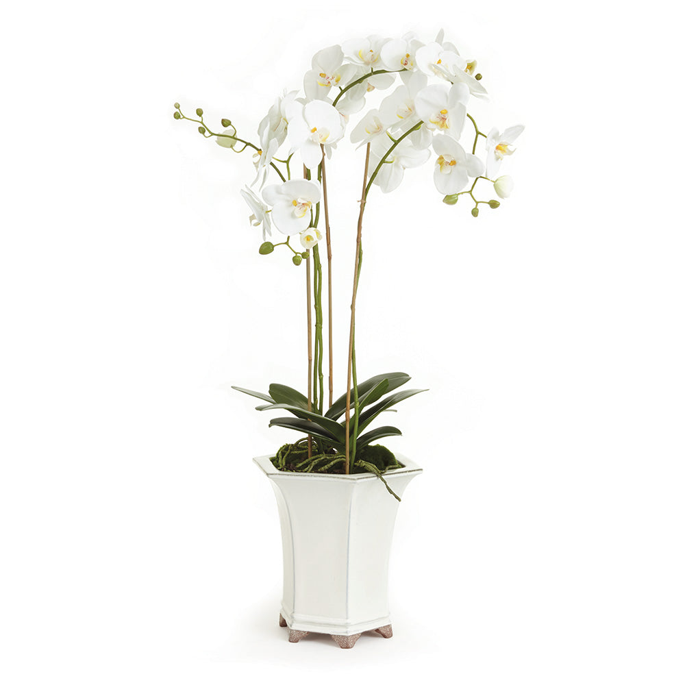 Barclay Butera White Orchid In Ceramic Planter Pot 36"