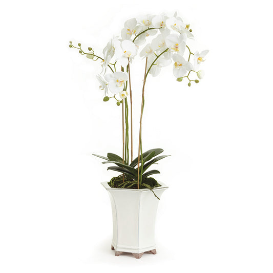 With Barclay Butera's expertise, a beautiful permanent orchid is expertly paired with a stylish vessel to create this stunning artificial flora arrangement. Designed to elevate any space with a high-end touch, this arrangement effortlessly combines a gorgeous permanent orchid with an elegant vessel, making it the perfect addition to your home decor.