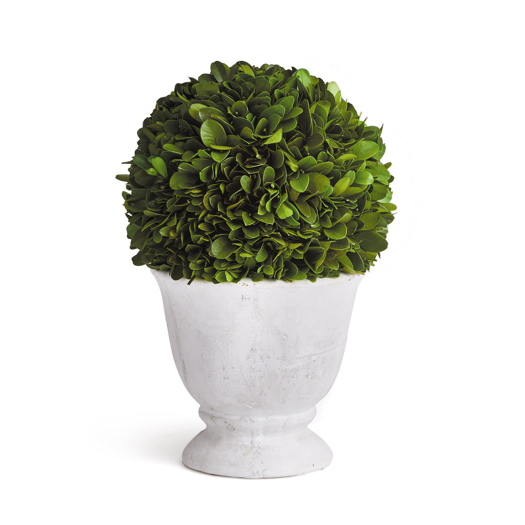 Boxwood Ball Topiary In Planter Pot Small