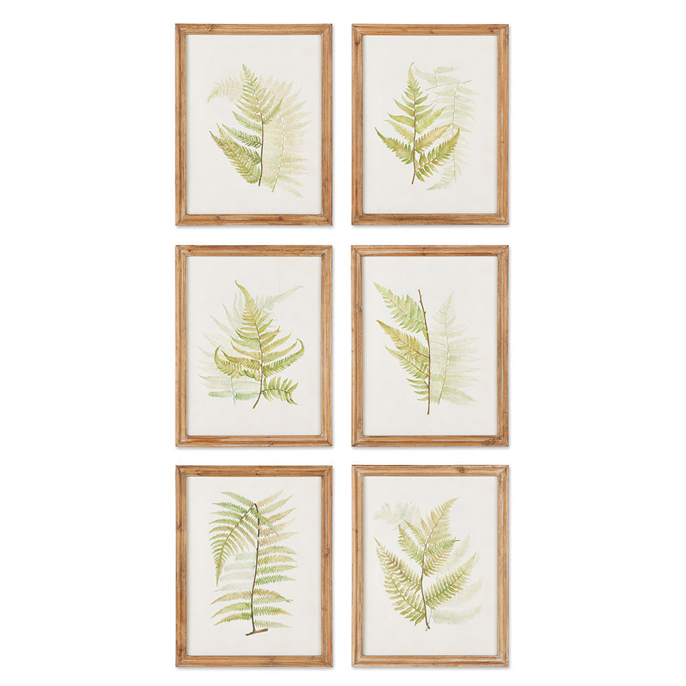 These watercolor fern study prints are a fresh take on the traditional botanical. Each composition it's own pairing of  a fern and faded whisper of one. A calm and lovely collection.