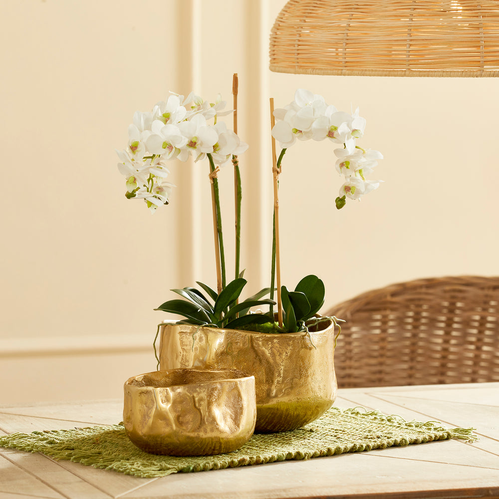 Expertly designed with a touch of nature in mind, these cachepots feature a modern, organic shape and a natural hammered texture that adds a unique and refreshing touch to your indoor greenery collection. Perfect for showcasing cherished orchids or vibrant green plants, these planters are sure to impress with their sleek and natural design.