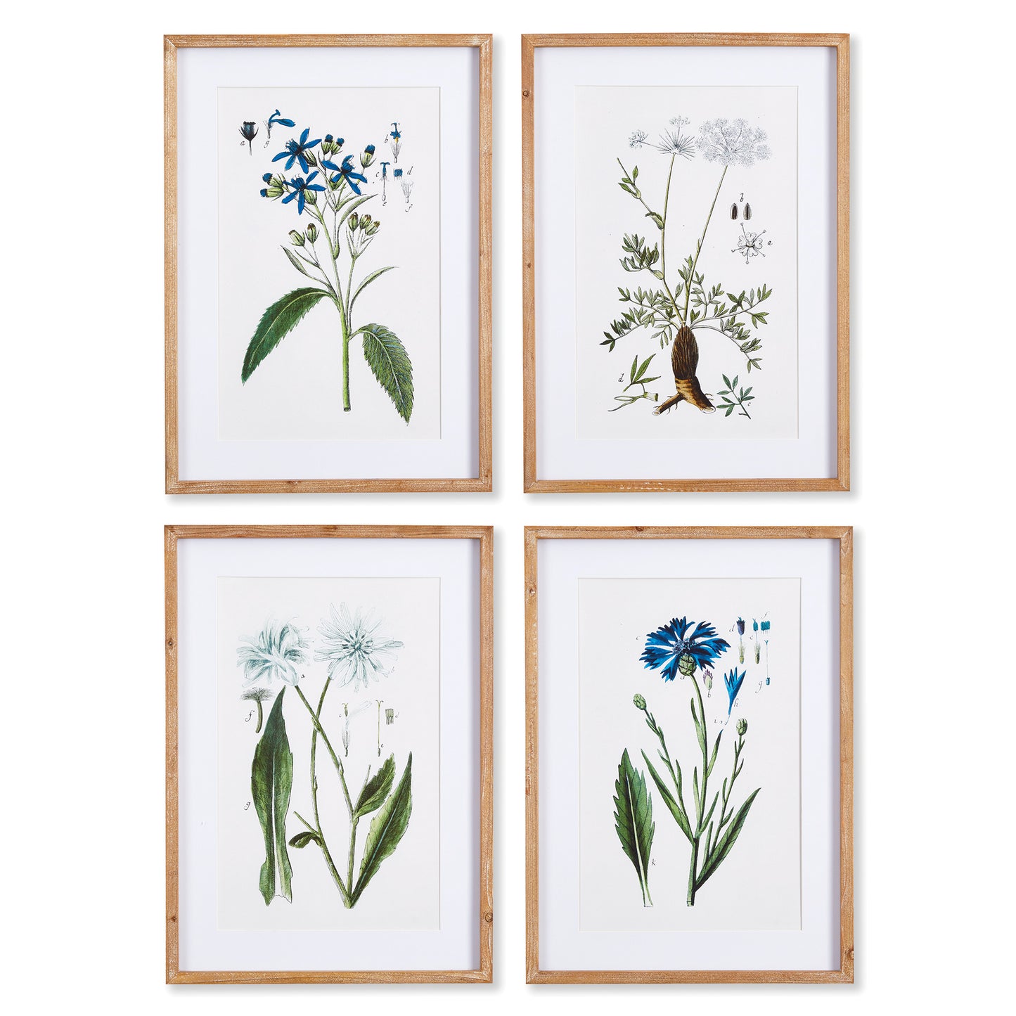 A vibrant rendition of blue and white mountain botanicals, this set of prints adds rich color and contrast. A traditional look for kitchen, foyer or bedroom.