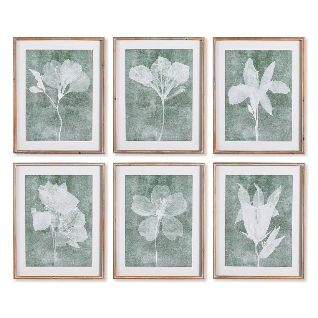 Translucent Floral Wall Prints, Set Of 6