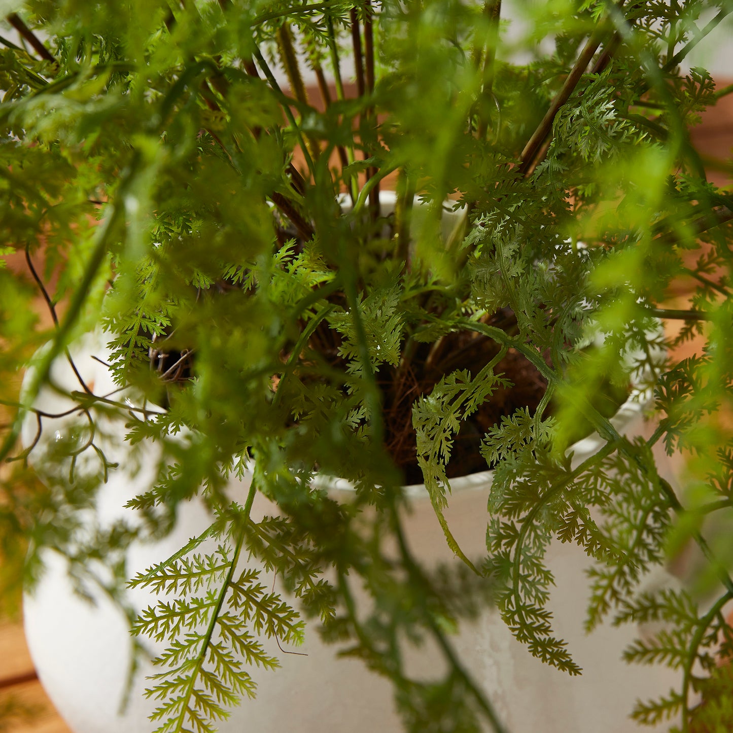 100% realistic- a perfect copy of your favorite fern. This drop-in is a no-hassle work of art. Right down to the carefully crafted root ball, just as nature designed.