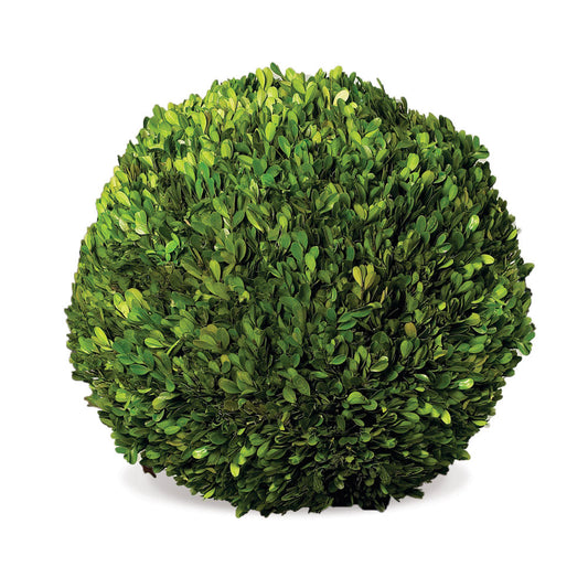 Real English boxwoods, preserved and painstakingly assembled by our masterful artists. This orb is artfully arranged and preserved to perfection, and makes the perfect filler for a ceramic, metal or woven tray or bowl. Everyone loves a touch of green.
