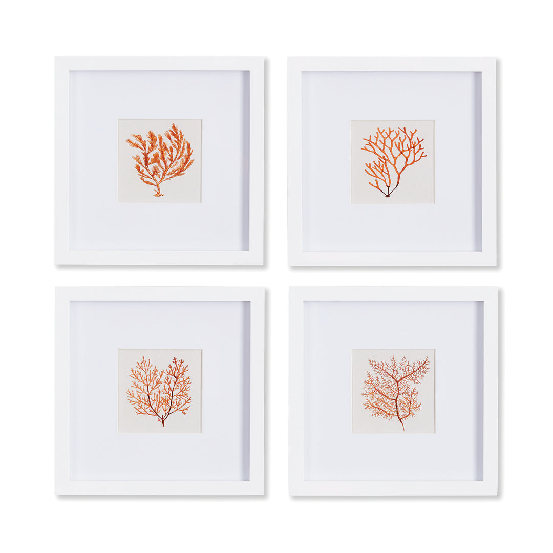 Coastal Coral Petite Prints, Set Of 4