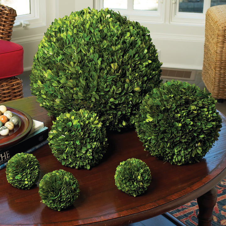 English Boxwood Ball 16" assortment