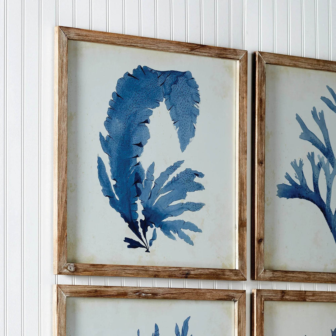 These coral prints offer a unique blend of elegance and scale, perfect for a coastal, upscale aesthetic. The soft, watercolor design and whitewashed frames suit both home and office settings. Experience sophistication and coastal charm in your space with these exquisite coral prints. The delicate watercolor design and natural wood frames elevate any room, making them versatile additions to any home or office.