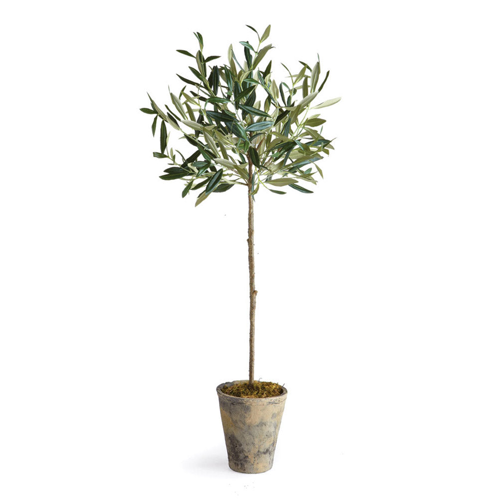 Olive Tree Planter Potted 30"