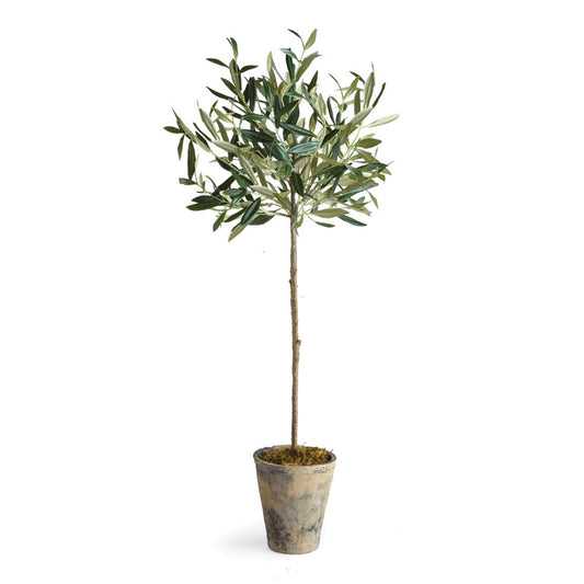 100% realistic- a perfect copy of an olive tree. This drop-in is a no-maintenance work of art. Complete with a well-suited pot, it makes for a lovely gift.