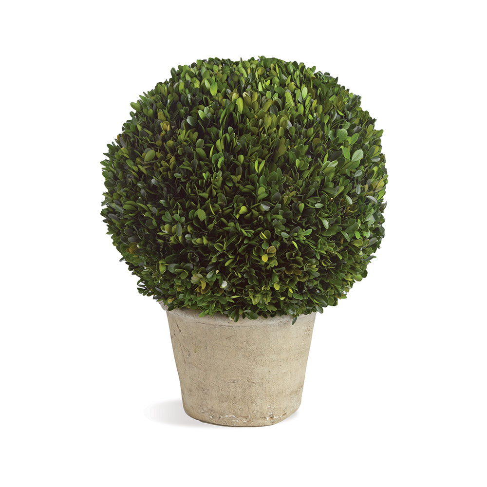 Real English boxwoods, preserved and painstakingly assembled by our masterful artists. This simple arrangement is artfully arranged and preserved to perfection. The perfect accent to add a touch of tradition and a little greenery to any space.