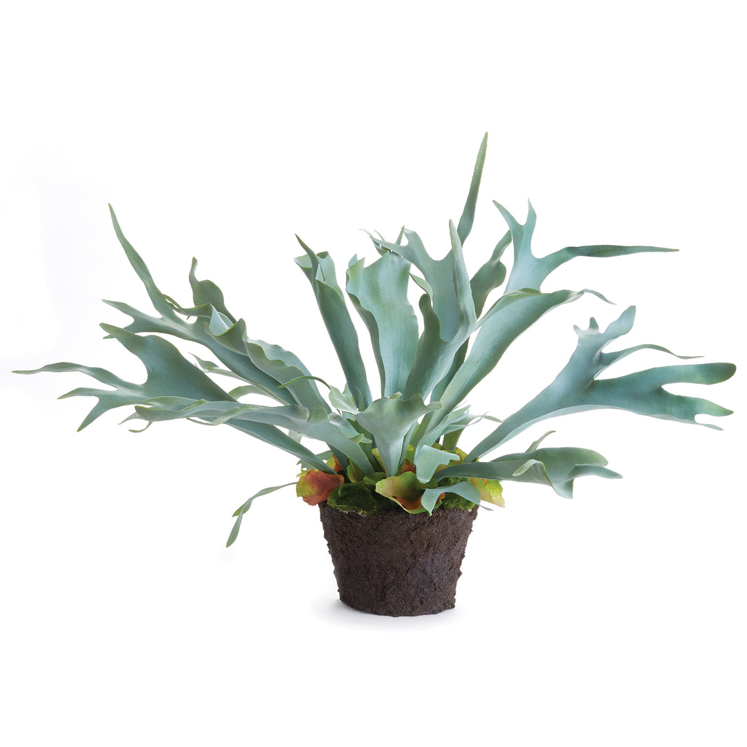 Staghorn Artificial Fern Drop-In 21"