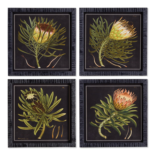 These Protea Prints really bring the drama. With a black background and simple composition, this set of four prints are perfect for powder room, bedroom or tucked into some bookshelves.