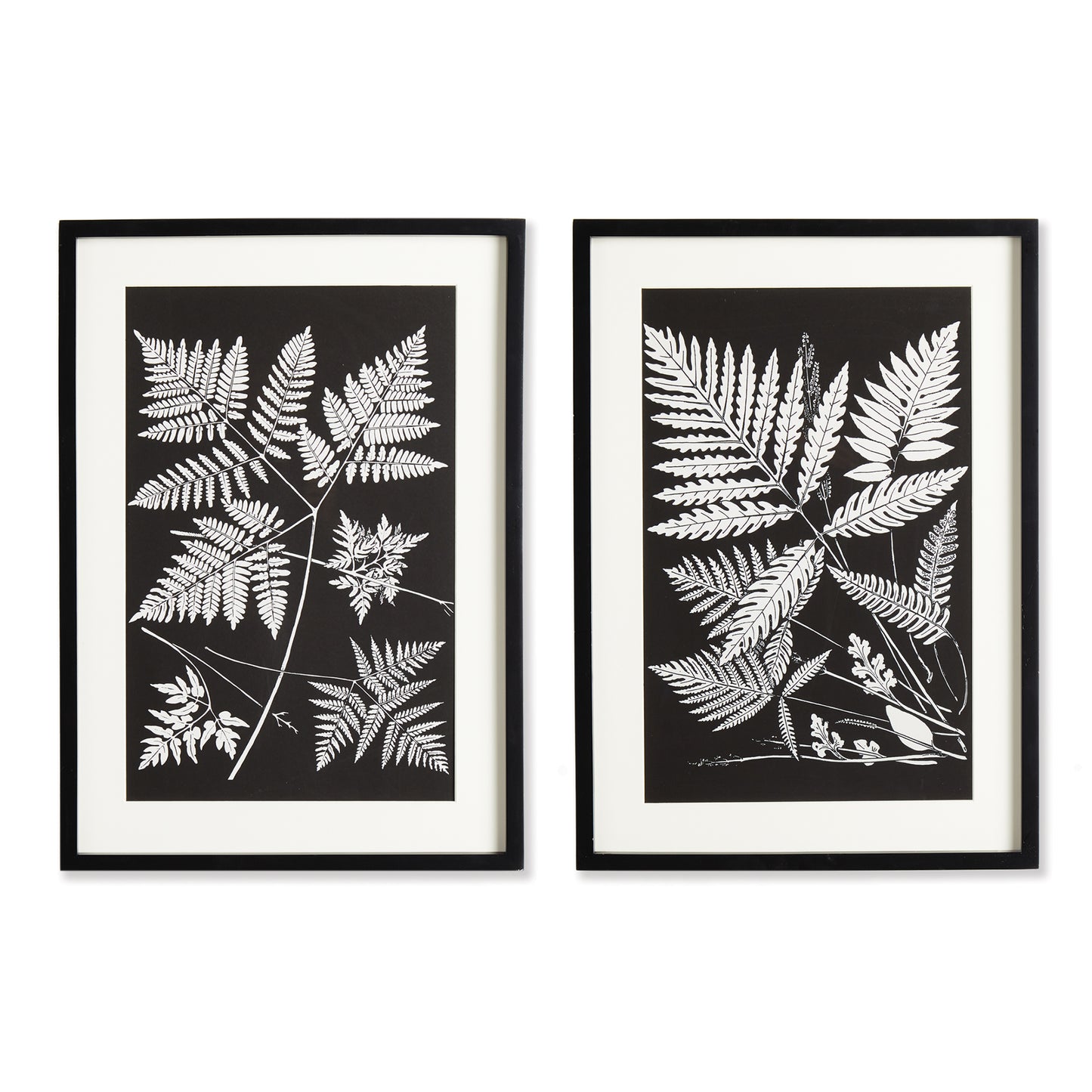 Enhance your workspace with these stunning fern frond prints. The bold, masculine aesthetic and monochromatic composition play on positive and negative space, making a statement in your office or study. Real mats and coordinating black frames add a sophisticated touch, providing the perfect balance for a professional and polished look.