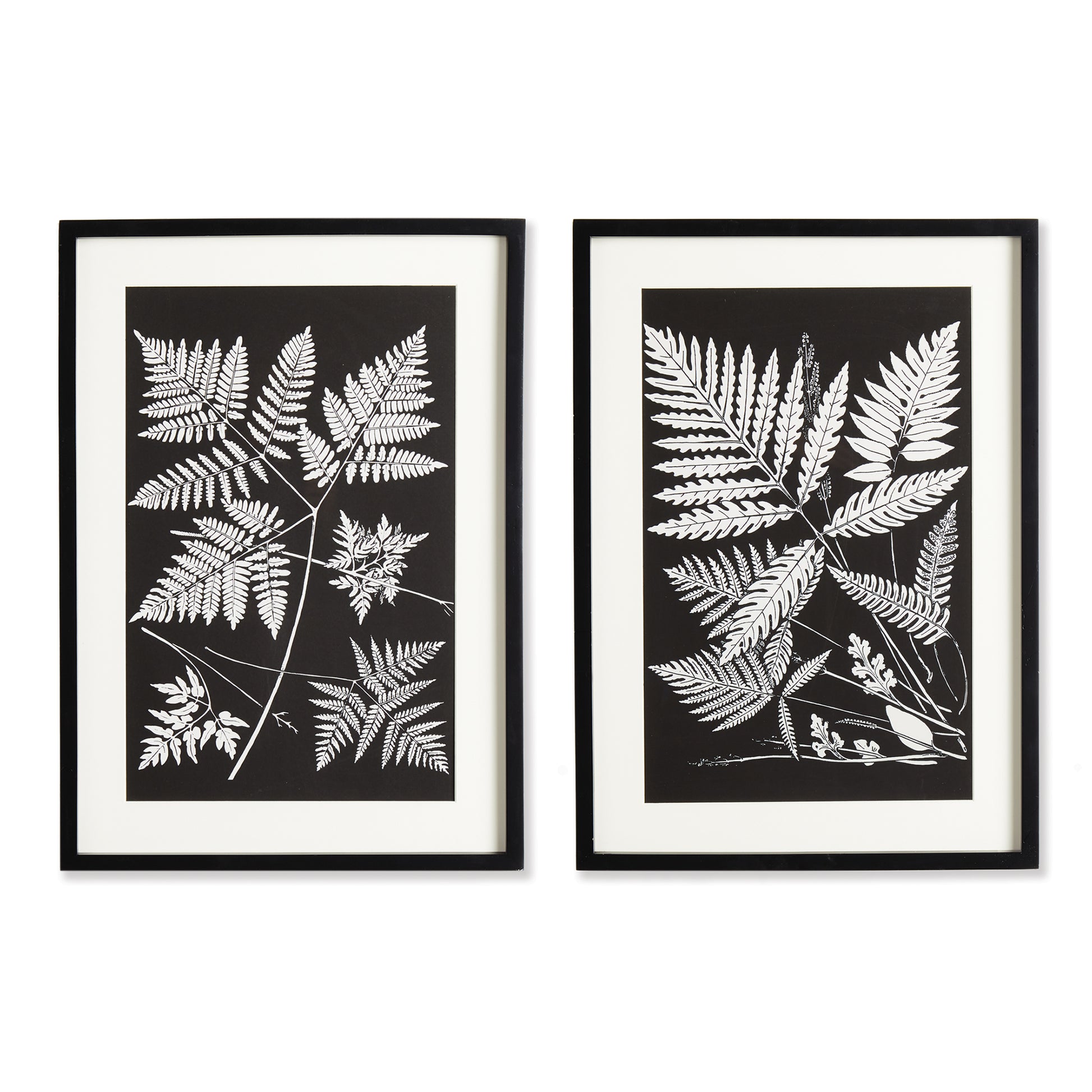 Enhance your workspace with these stunning fern frond prints. The bold, masculine aesthetic and monochromatic composition play on positive and negative space, making a statement in your office or study. Real mats and coordinating black frames add a sophisticated touch, providing the perfect balance for a professional and polished look.