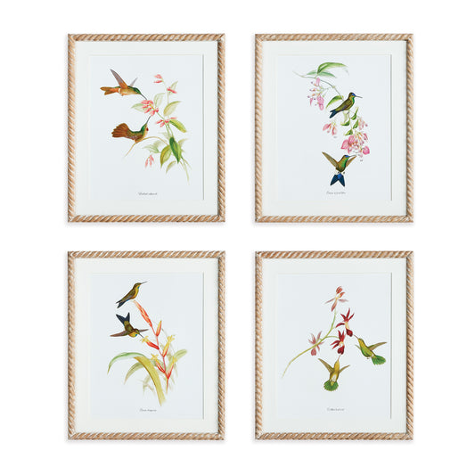 Incredibly intricate, yet whimsical in style, these hummingbird prints are a traditional set. May be hung together, or separated into smaller vignettes. Finished off with mats and carved wood frames, a great way to dress your walls in classic style.