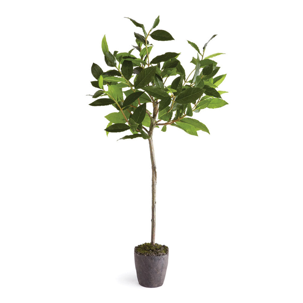 Bayleaf Tree Drop-In 28.5" *Discontinued