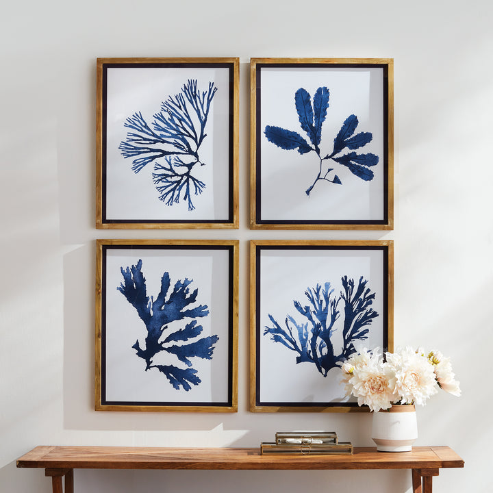 These signature upscale coastal chic prints showcase both elegance and scale. With a soft, watercolor design and whitewashed natural wood frames with indigo trim, these monochromatic seaweed prints add sophistication to any room in your home.