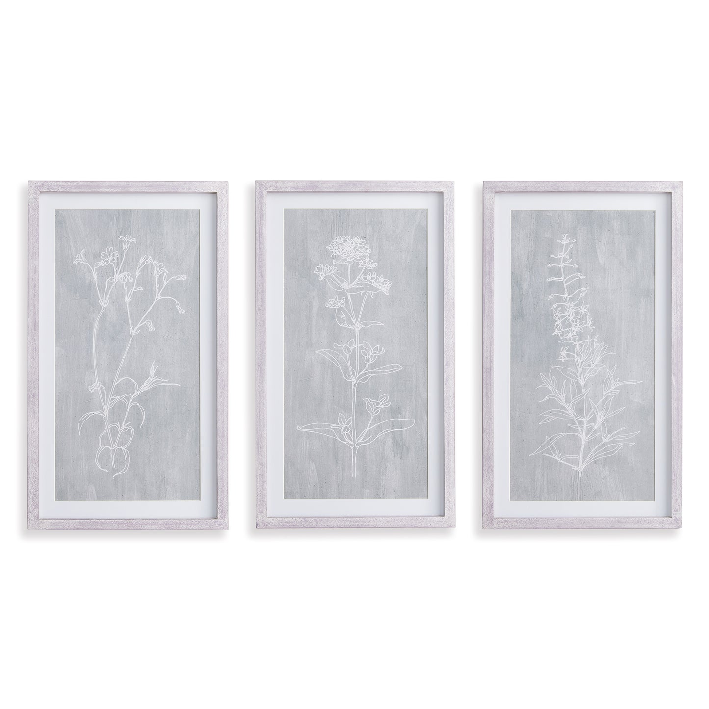 These cool grey wash prints with a light impression of botanical forms is a contemporary trio. Finished with crisp white mats and pine wood frames in a light grey wash.