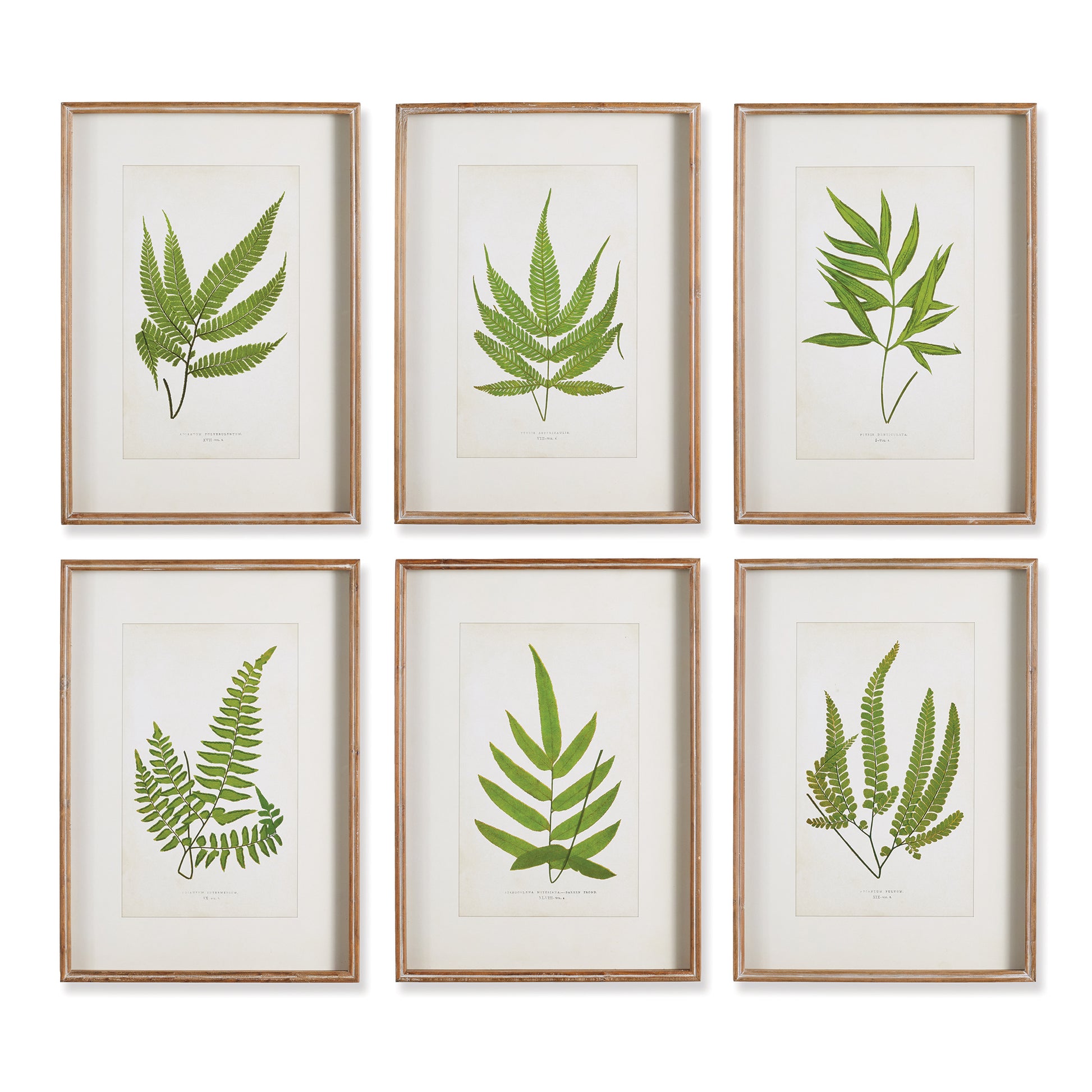 The beauty is in the details with this set of six leaf prints. Graphic and simple by design.  Accents of green are always on trend, adding a touch of nature to a neutral palette.