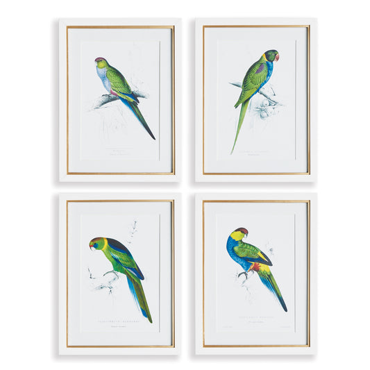 These Parrot prints are a pop of color for any space from bedroom to foyer. In a classic British Colonial style, they are made for the traditional beach cottage.