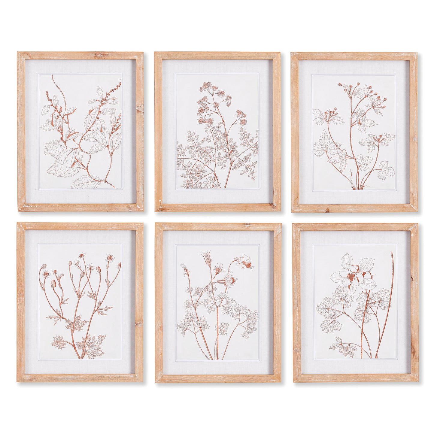 Illustrated in a minimalist style, these blush botanicals celebrate simple forms in nature. Complete with a light whitewashed frame, a nice way to add a feminine touch to bedroom, kitchen or home office.