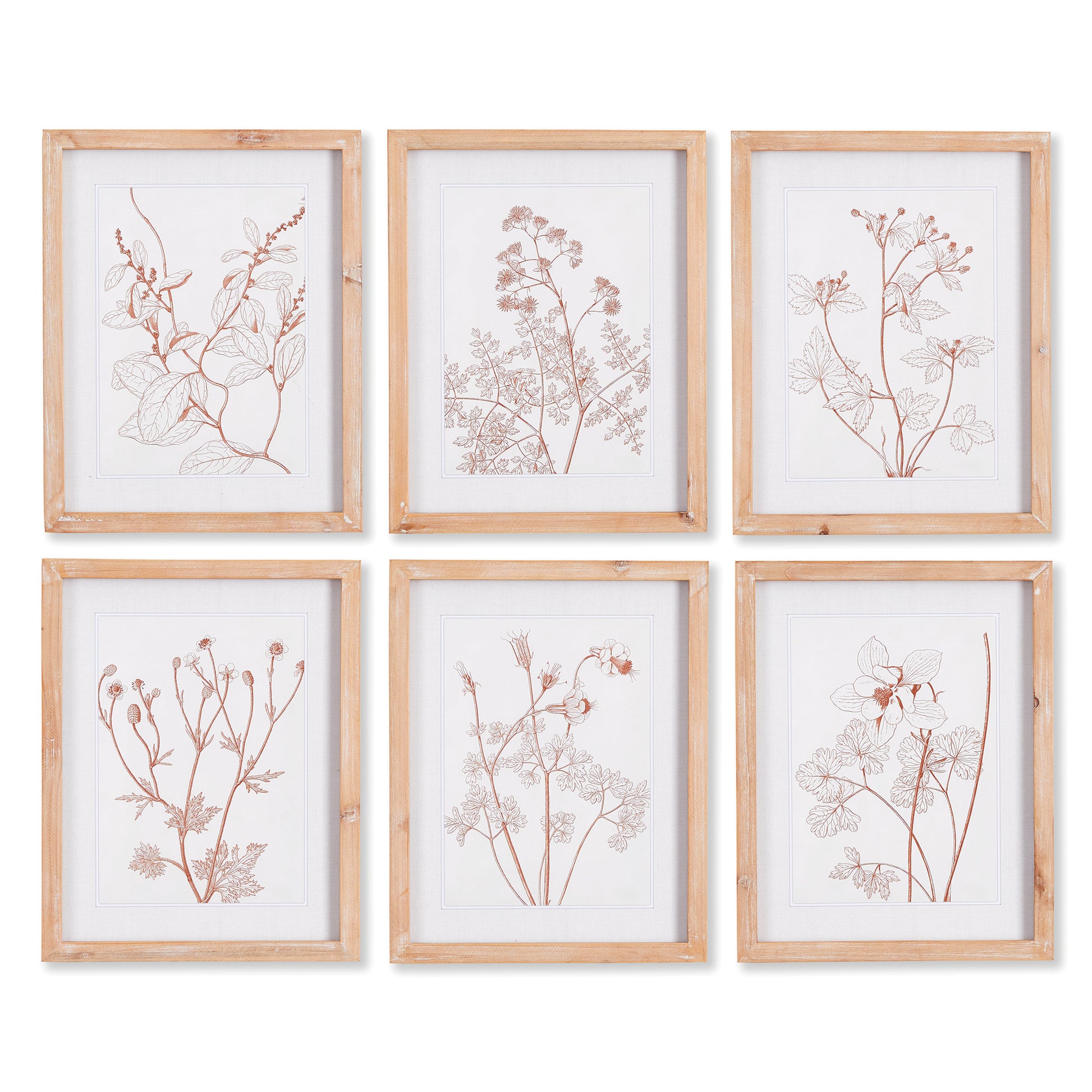 Illustrated in a minimalist style, these blush botanicals celebrate simple forms in nature. Complete with a light whitewashed frame, a nice way to add a feminine touch to bedroom, kitchen or home office.