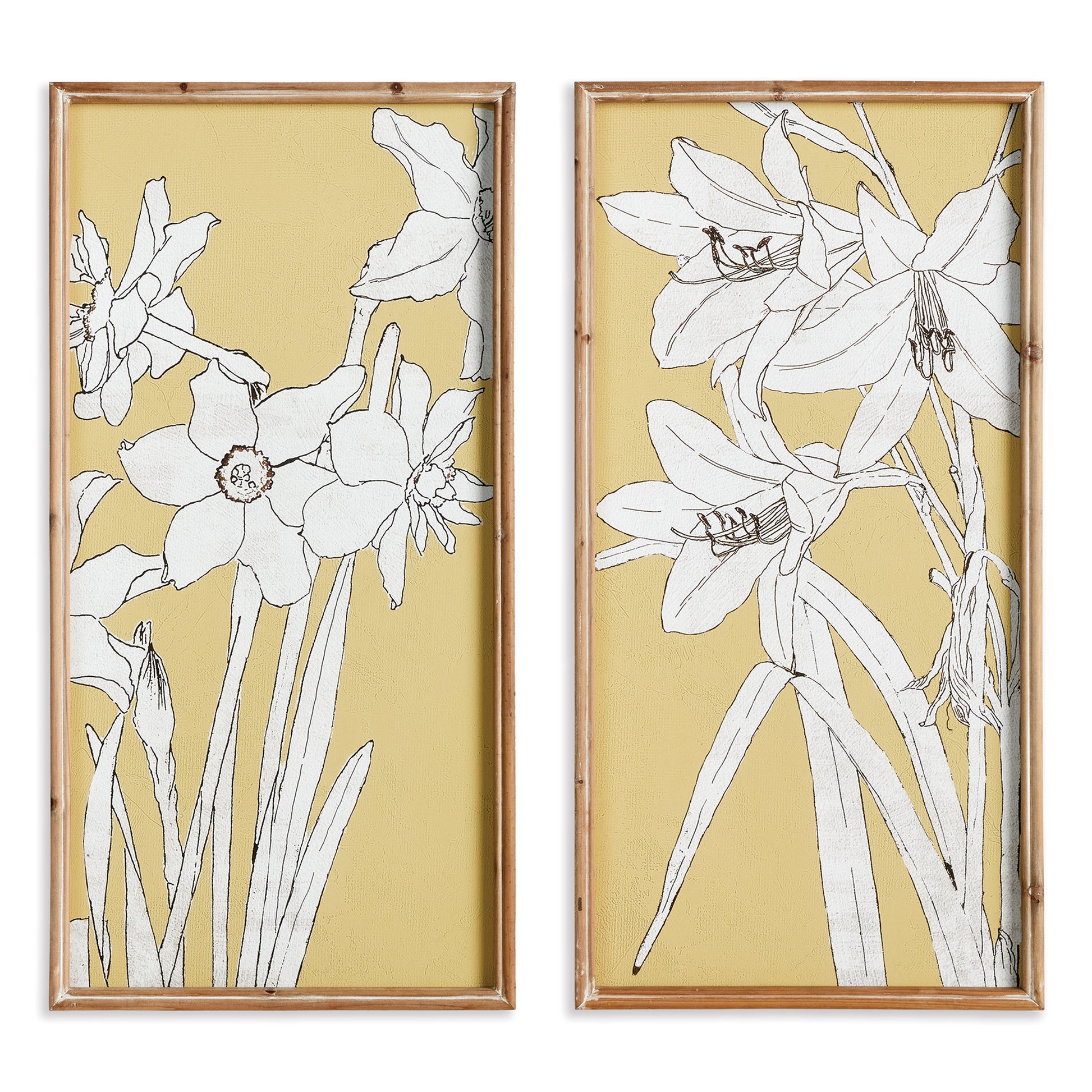 The muted yellow background of these flowering amaryllis prints is a clever nod to the signature Aurora amaryllis. A modern take on a traditional botanical composition. This well scaled diptych is finished off with whitewashed wood frames.