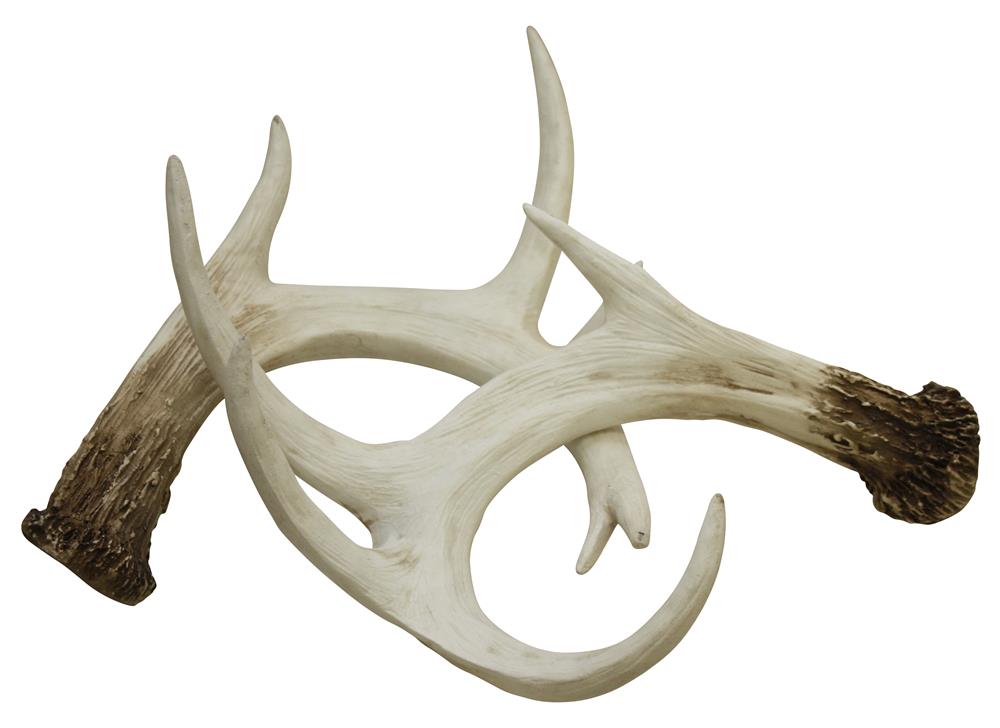 White Antler Wall Décor