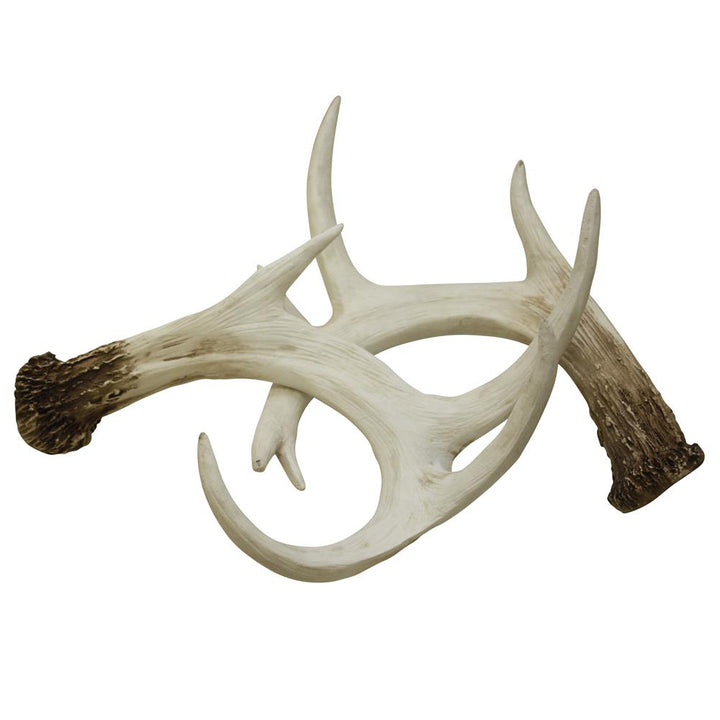 White Antler Wall Décor