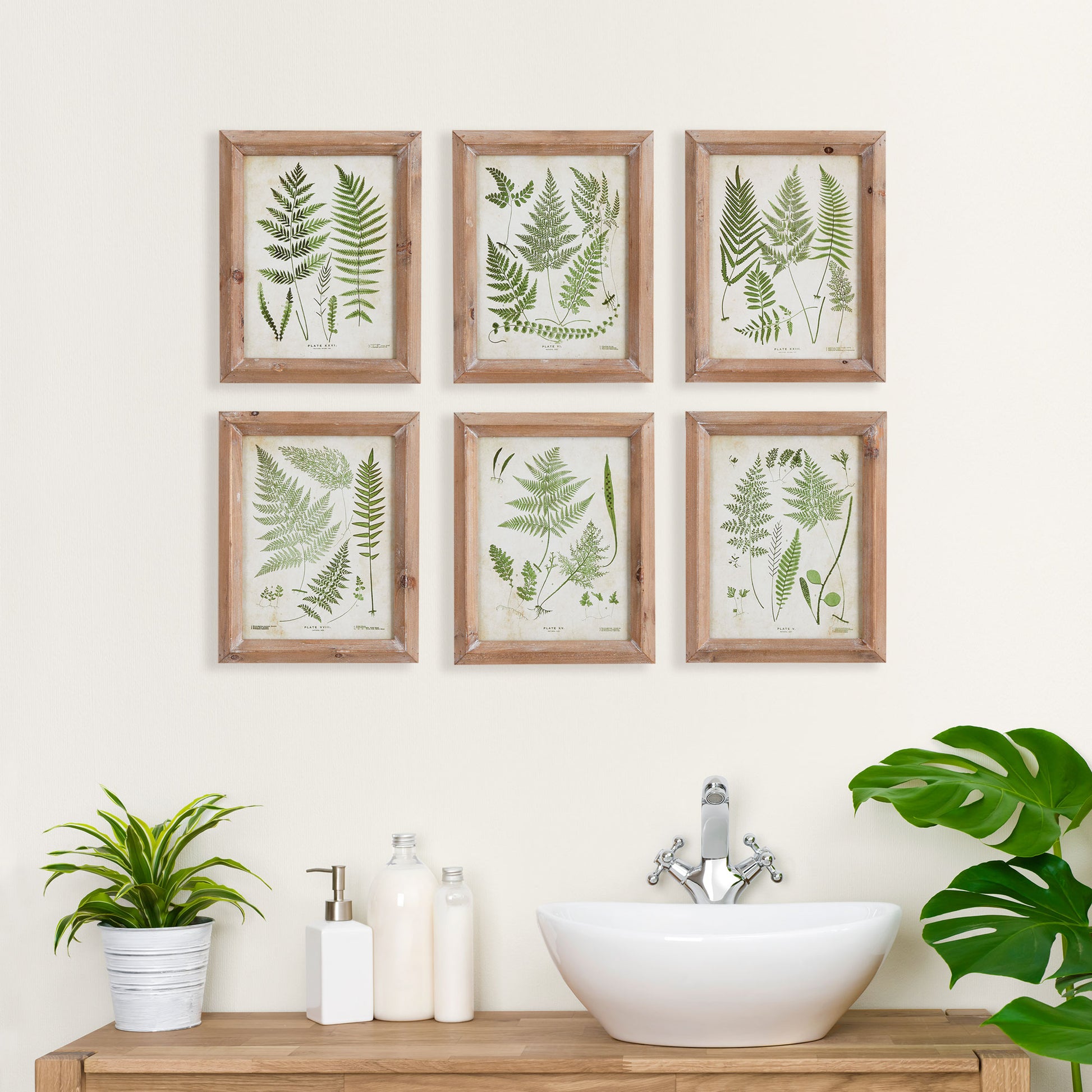 Discover the endless variety and beauty of fern plants with this set of six petite wall prints. Each print showcases a unique frond study, highlighting the intricate details of this lush plant. Perfect for any plant enthusiast or lover of natural beauty, these prints are sure to fascinate and educate.