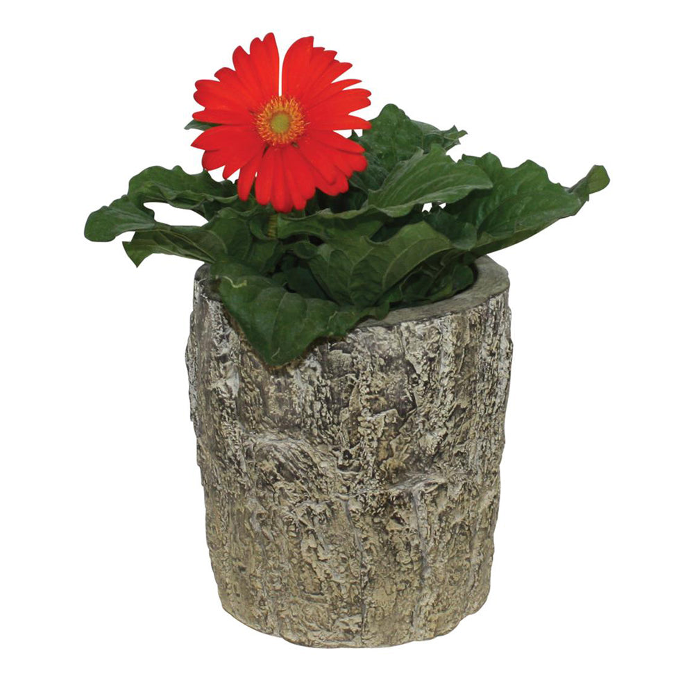 Lodge Style Tree Trunk Planter, Set of 2