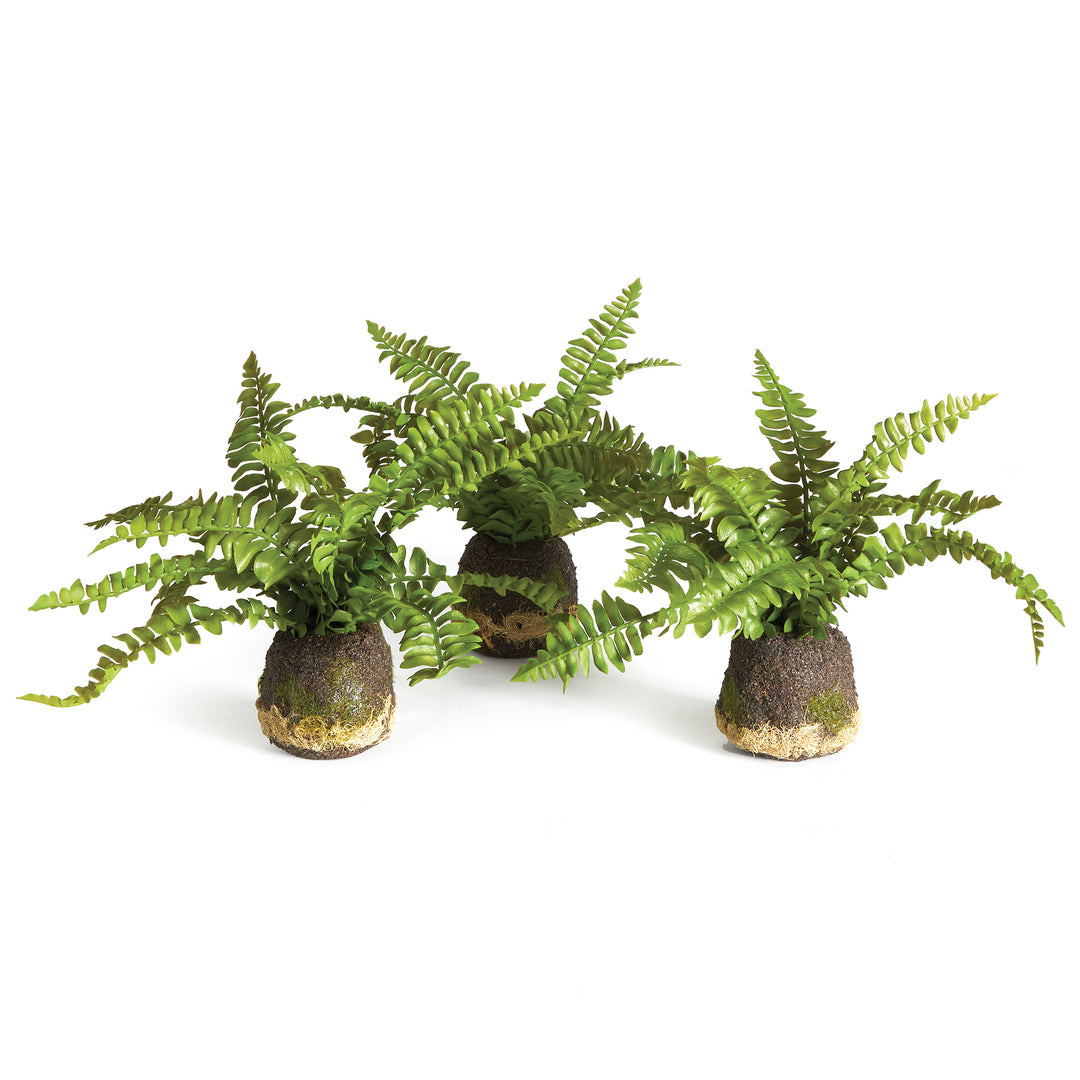 Artificial Flora Fern Drop-Ins, Set Of 3