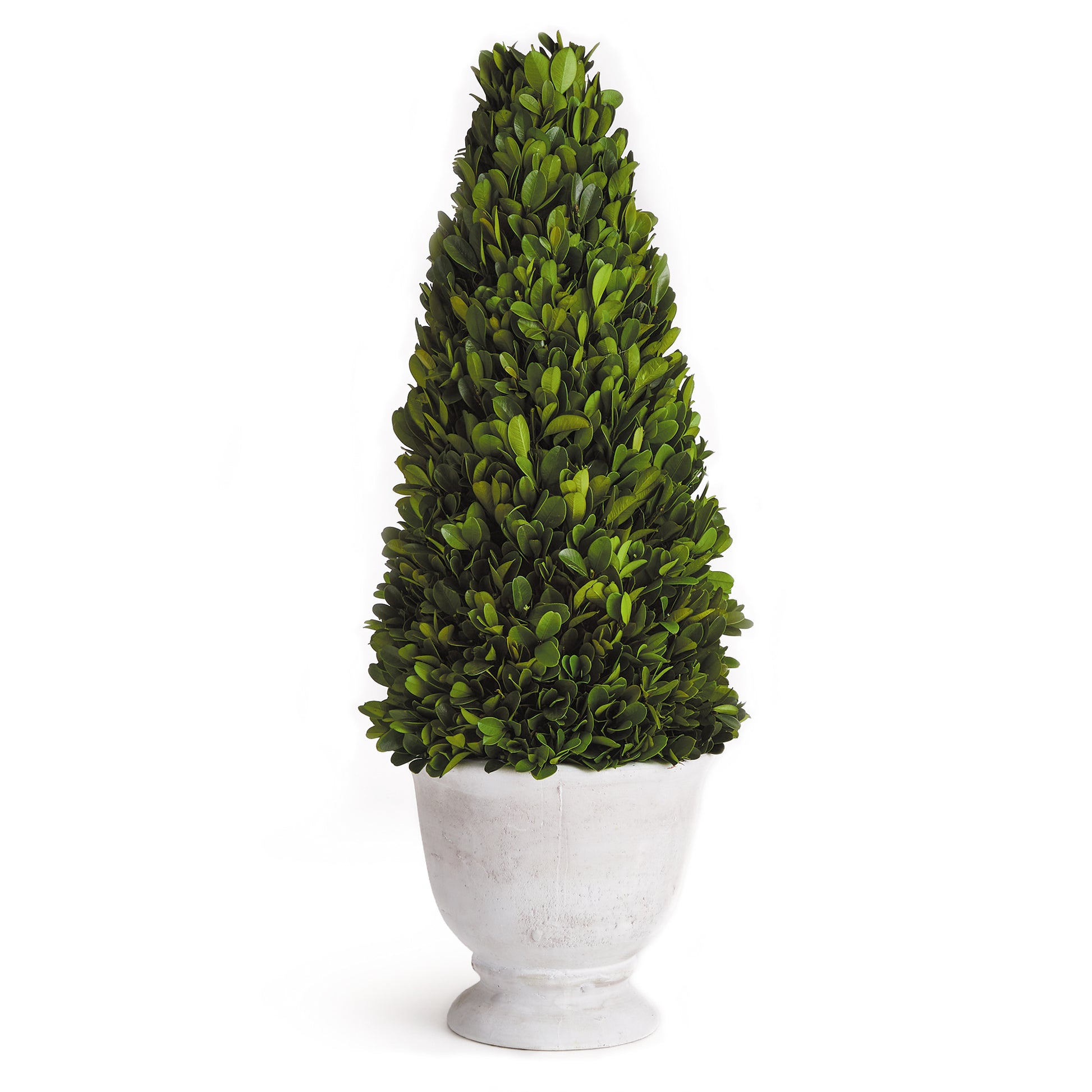 Real English boxwoods, preserved and painstakingly assembled by our masterful artists. Artfully arranged and preserved to perfection. Paired with a simple white matte ceramic pot, a perfect accent for entry or anywhere.