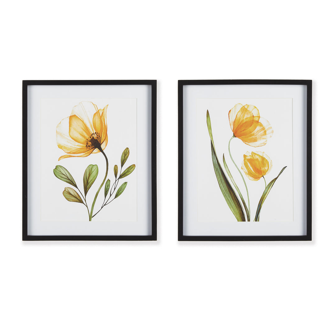 X-Ray Botanical Prints, Set Of 2