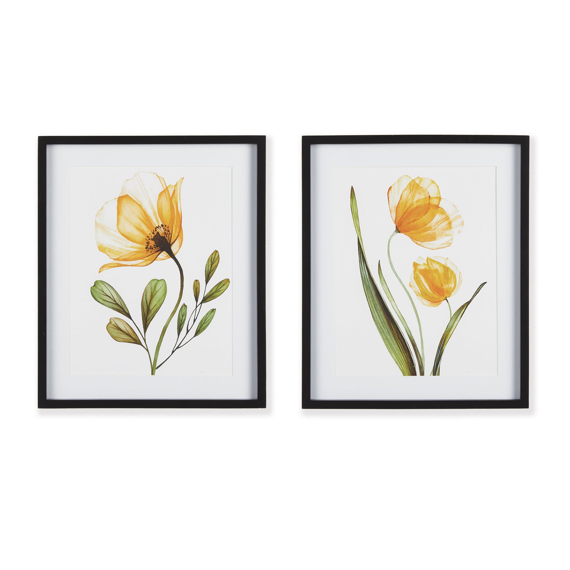 The light and whimsical x-ray style gives this coordinating pair of florals an updated feel. A feminine pop of color that is sure to enhance kitchen, powder room or any space. Finished off with a simple black frame.