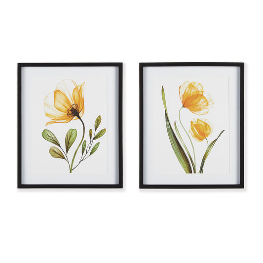 The light and whimsical x-ray style gives this coordinating pair of florals an updated feel. A feminine pop of color that is sure to enhance kitchen, powder room or any space. Finished off with a simple black frame.