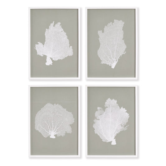 With a background of soft gray taupe, these coral forms pop dramatically off the page. The clean and simple white frames finish them off with a subtle profile.